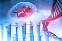 刚怀孕如何确认是谁的孩子[黔南]，黔南无创孕期亲子鉴定大概收费
