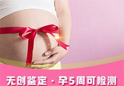 黔南胎儿如何办理亲子鉴定，黔南无创孕期亲子鉴定多少钱